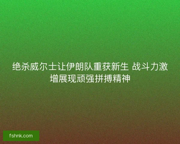 绝杀威尔士让伊朗队重获新生 战斗力激增展现顽强拼搏精神