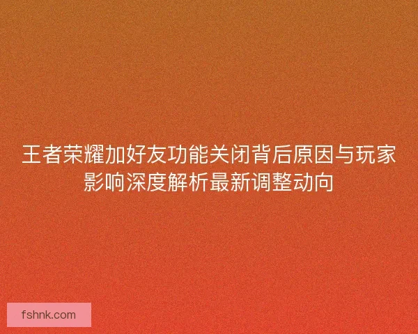 王者荣耀加好友功能关闭背后原因与玩家影响深度解析最新调整动向